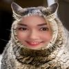 mj_thecat